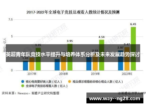 英超青年队竞技水平提升与培养体系分析及未来发展趋势探讨