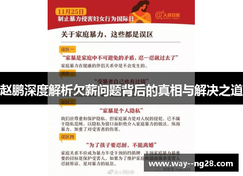 赵鹏深度解析欠薪问题背后的真相与解决之道