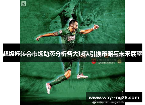 超级杯转会市场动态分析各大球队引援策略与未来展望