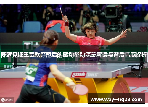 陈梦见证王楚钦夺冠后的感动举动深意解读与背后情感探析