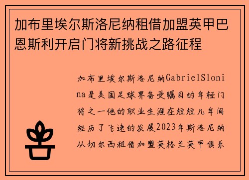 加布里埃尔斯洛尼纳租借加盟英甲巴恩斯利开启门将新挑战之路征程